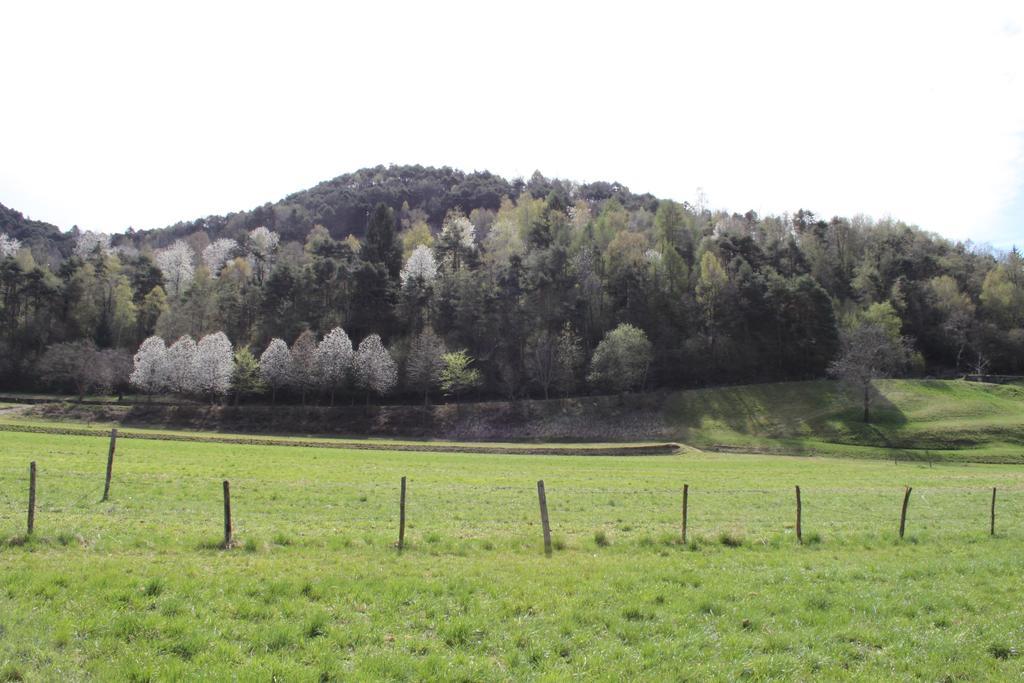 Cà del Garì Villa Tremosine Esterno foto