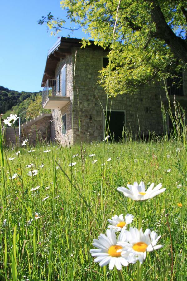 Cà del Garì Villa Tremosine Esterno foto